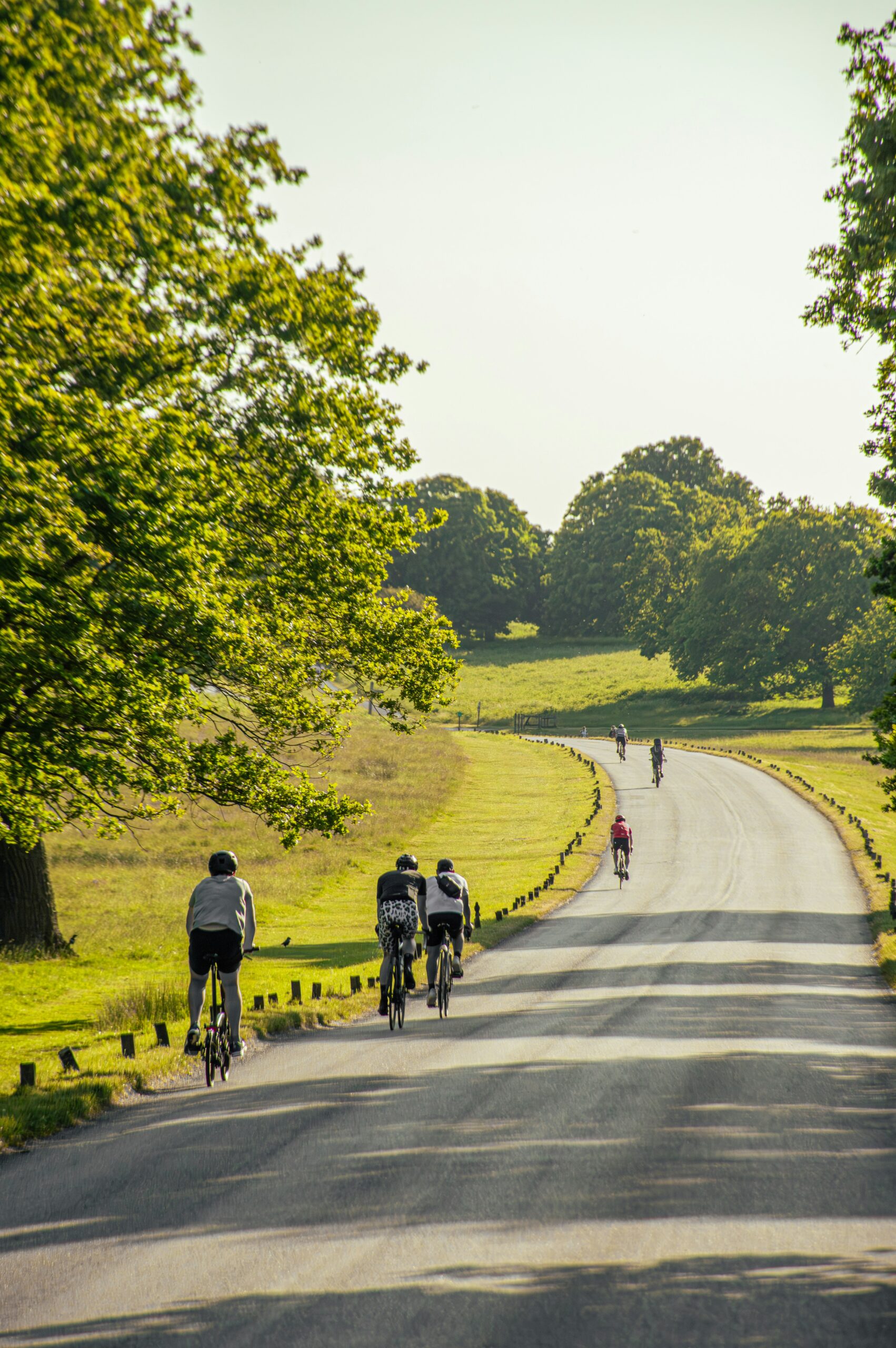 BEAUTIFUL SCENE OF CYCLING TRACK. TREES ARE TOO MUCH GREEN.